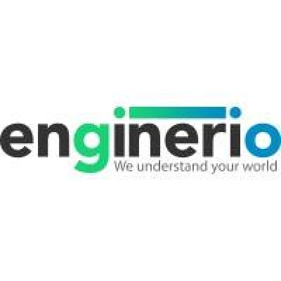 Enginerio Technology Solutions LLC owner