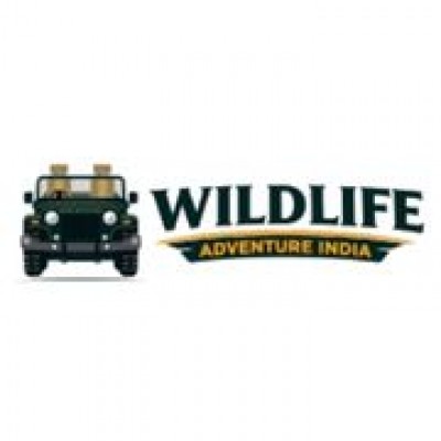 Pench Booking | Wildlife Adventure India owner