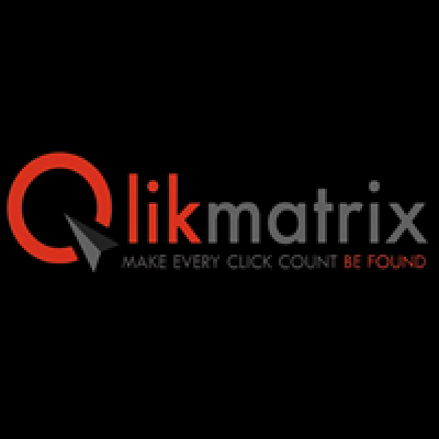 QlikMatrix SEM & Analytics Pvt. Ltd. owner
