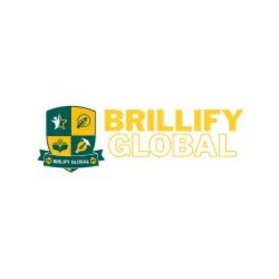 Brillify Global owner