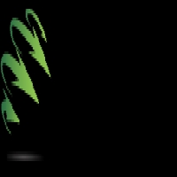 SOIL MODIFICATION services in USA