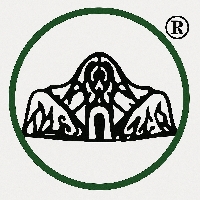 DESTINY INTERNATIONAL