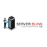 Server Blink LLC