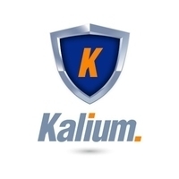 Kalium Solutions's Logo