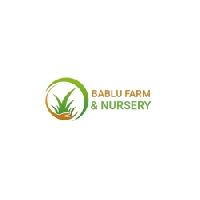Bablu Farm and Nursery