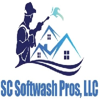 Vasa Roofing West Seattle LLC