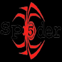 Spider Hodie