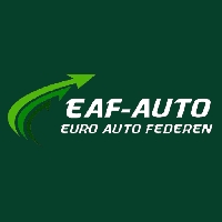 EAF Auto Parts Trader LLC