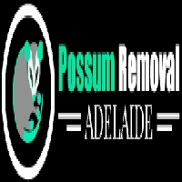 Possum Removal Adelaide