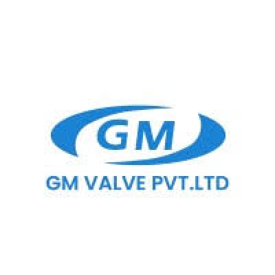 GM VALVE PVT. LTD. - Ball Check Valves Manufacturer