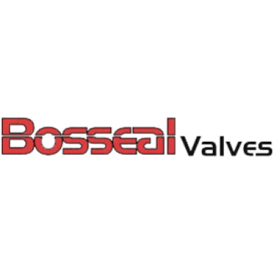 Bosseal Valves China Co., Ltd -  Manufacturer