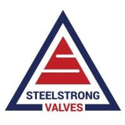 STEEL STRONG VALVES INDIA PVT LTD - Cryogenic Ball Valves Manufacturer