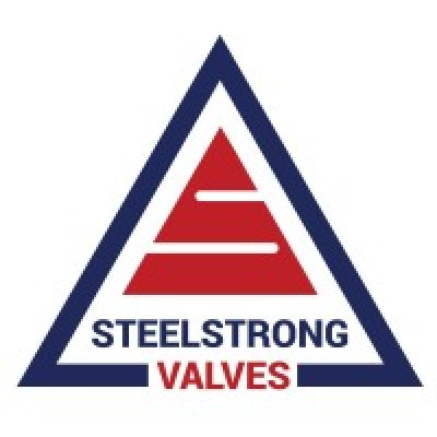 Steel Strong Valves (I) Pvt. Ltd. logo