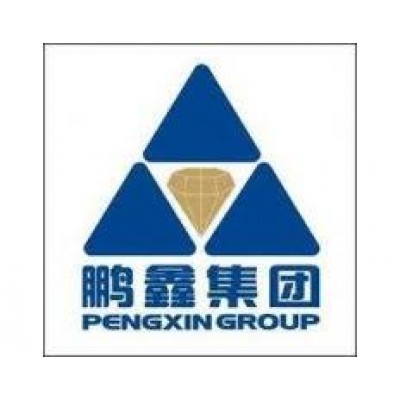 Hebei Pengxin Pipeline Equipment Group Co., Ltd. logo
