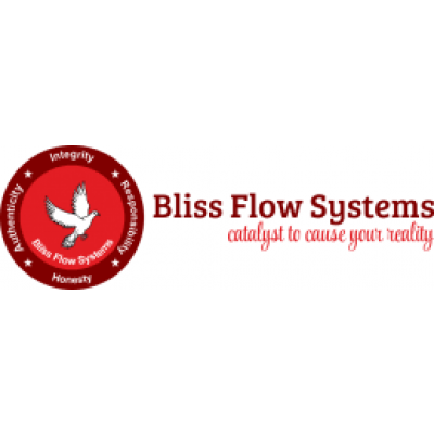Bliss Flow Systems Private Limited  logo