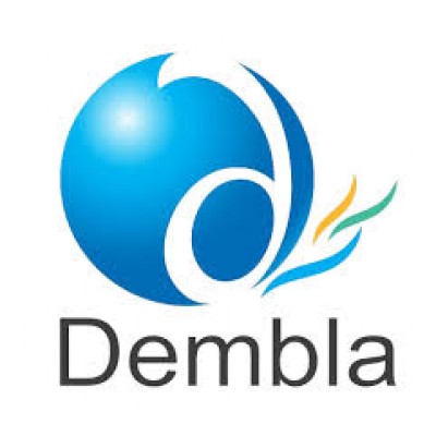 Dembla Valves Ltd logo