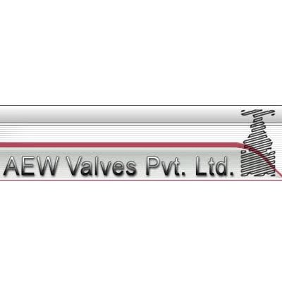 AEW VALVES PVT LTD - Cryogenic Check Valves Manufacturer