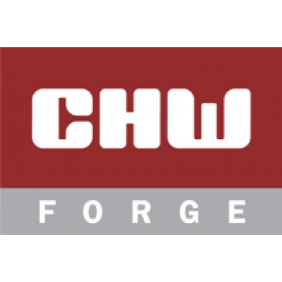 CHW FORGE PRIVATE LIMITED - Duplex Strainers Manufacturer