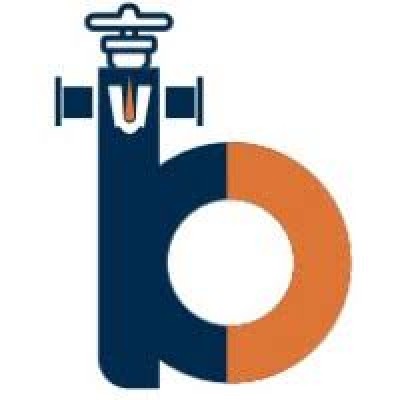 Shri Balaji Valve Components Pvt ltd  logo