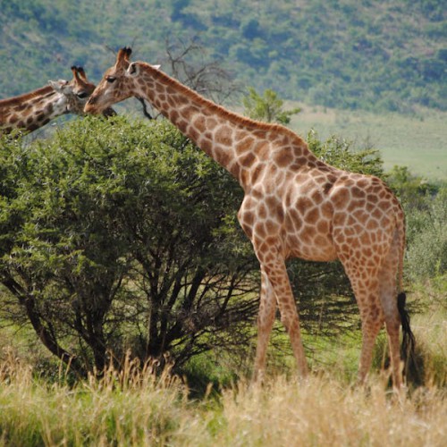 Manish Marketing photo