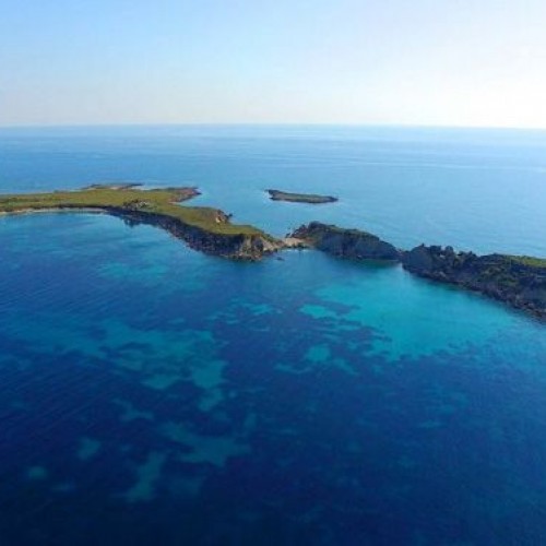 Artemis Kefalonia Cruises photo