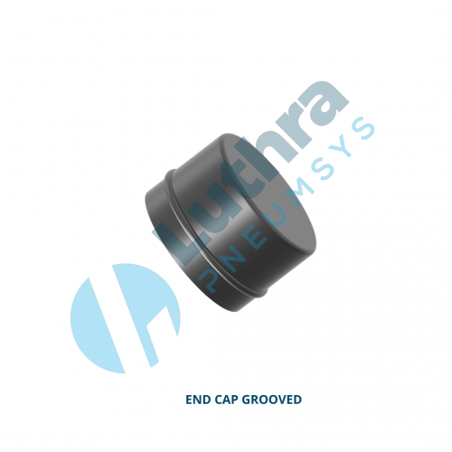 Luthra Pneumsys photo