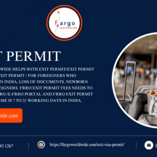 Fargo Worldwide - Business Visa photo