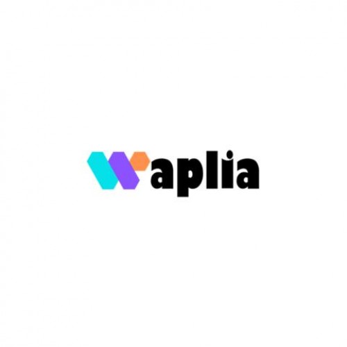 Waplia Digital Solutions Private Limited photo