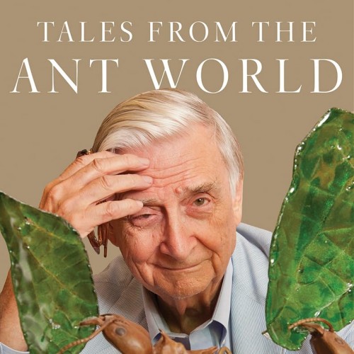 Collinwood Publishers photo