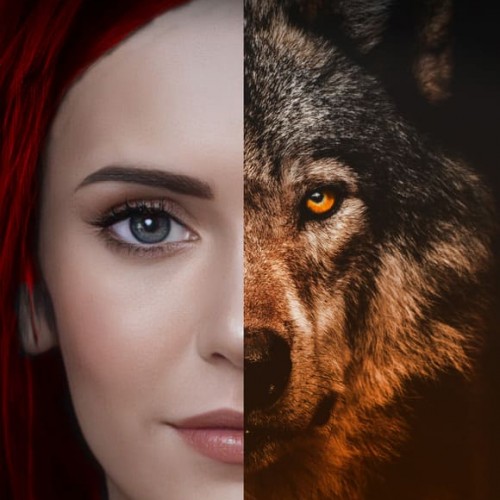 Meridian Book Publishing photo