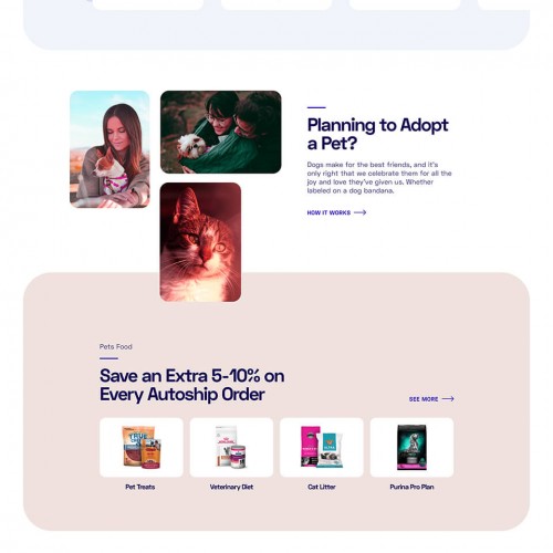 Web Design Avalon photo