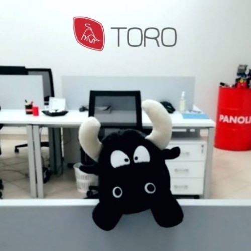 Toro Srl photo