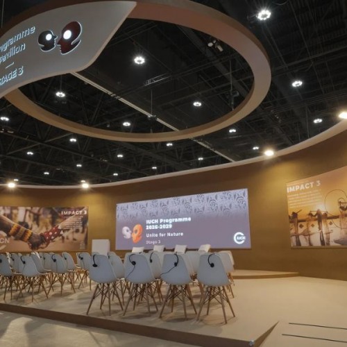 Electra Events & Exhibitions photo