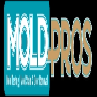 Mold Pros Maine