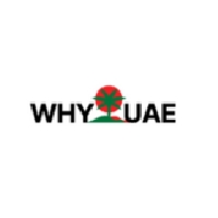 Why UAE company