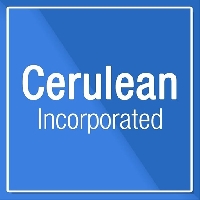 Cerulean Inc