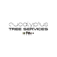 Eucalyptus Tree Services